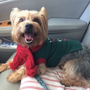 Meet your Posher, Marta